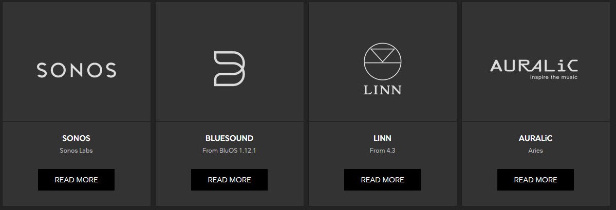 想要 high end？沒問題，這裡 Tidal 已經和不同品牌合作