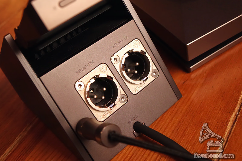 Dock 的兩個 XLR 端子標示住「數碼輸入及輸出」