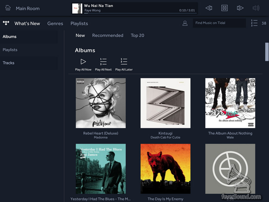 app 內有 Tidal 專用主頁面