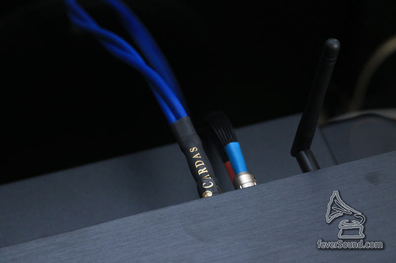 USB 線為 Cardas