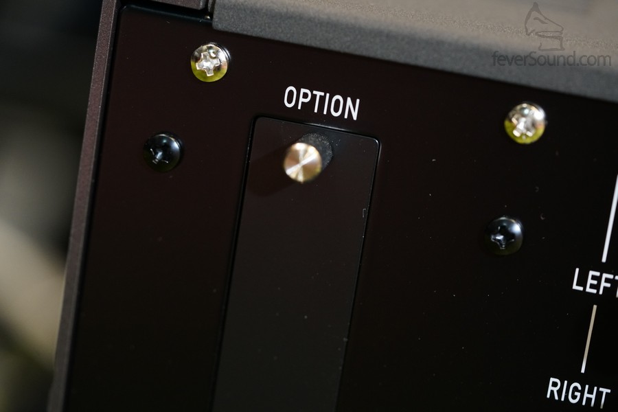 一組自選Option,可揀DAC或Phono Stage